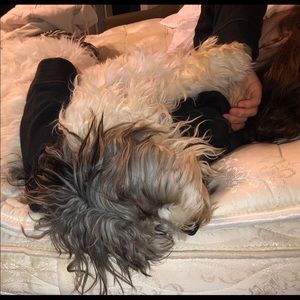 Meet your Posher, Starla